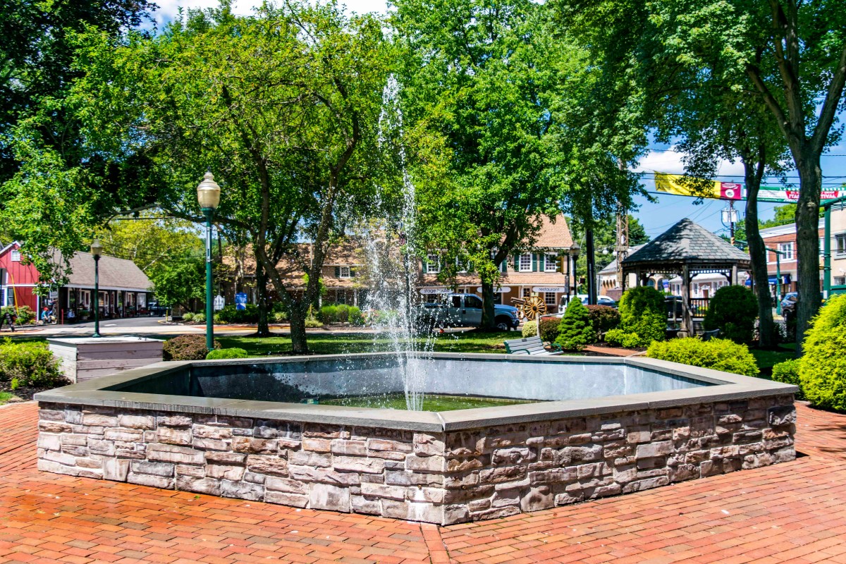Scotch Plains 3